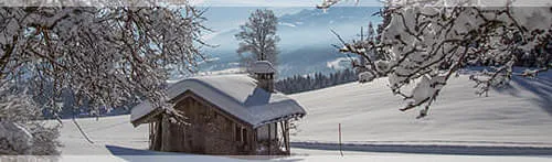 test Bild 3
